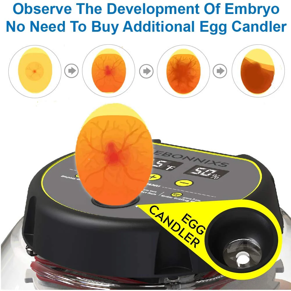 KEBONNIXS 12 Egg Incubator with Humidity Display