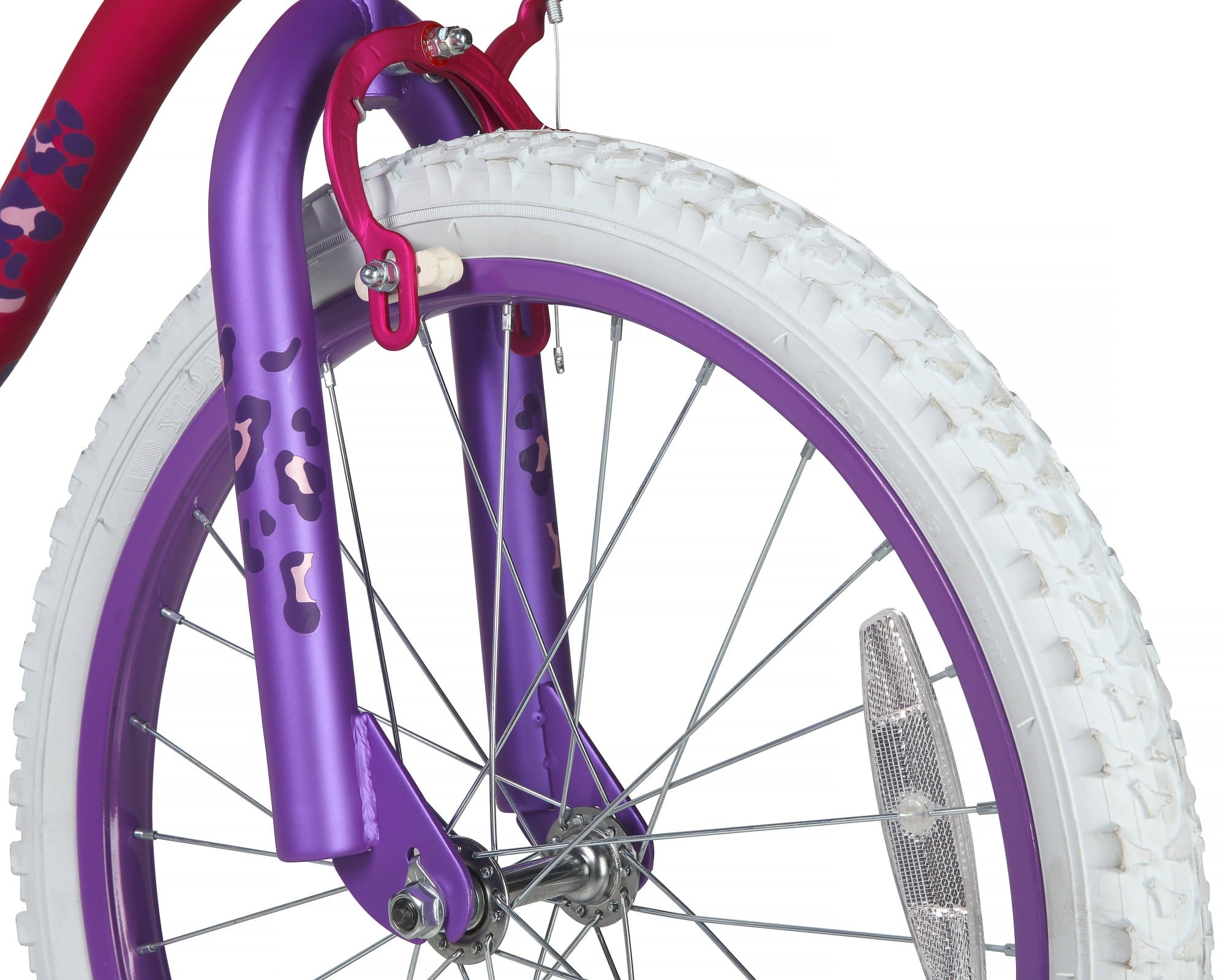 Girls Rule 20 Bike