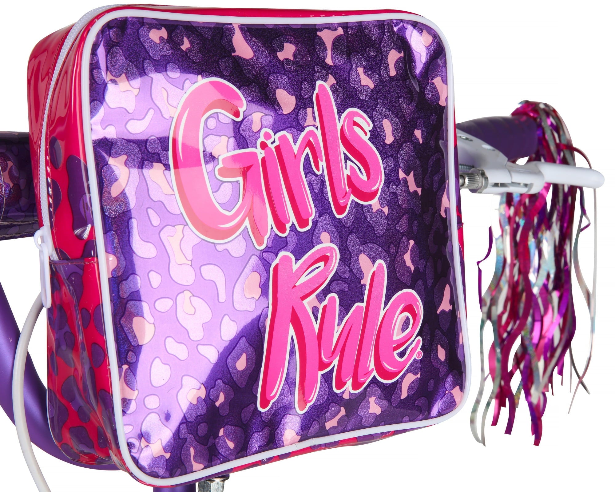 Girls Rule 20 Bike