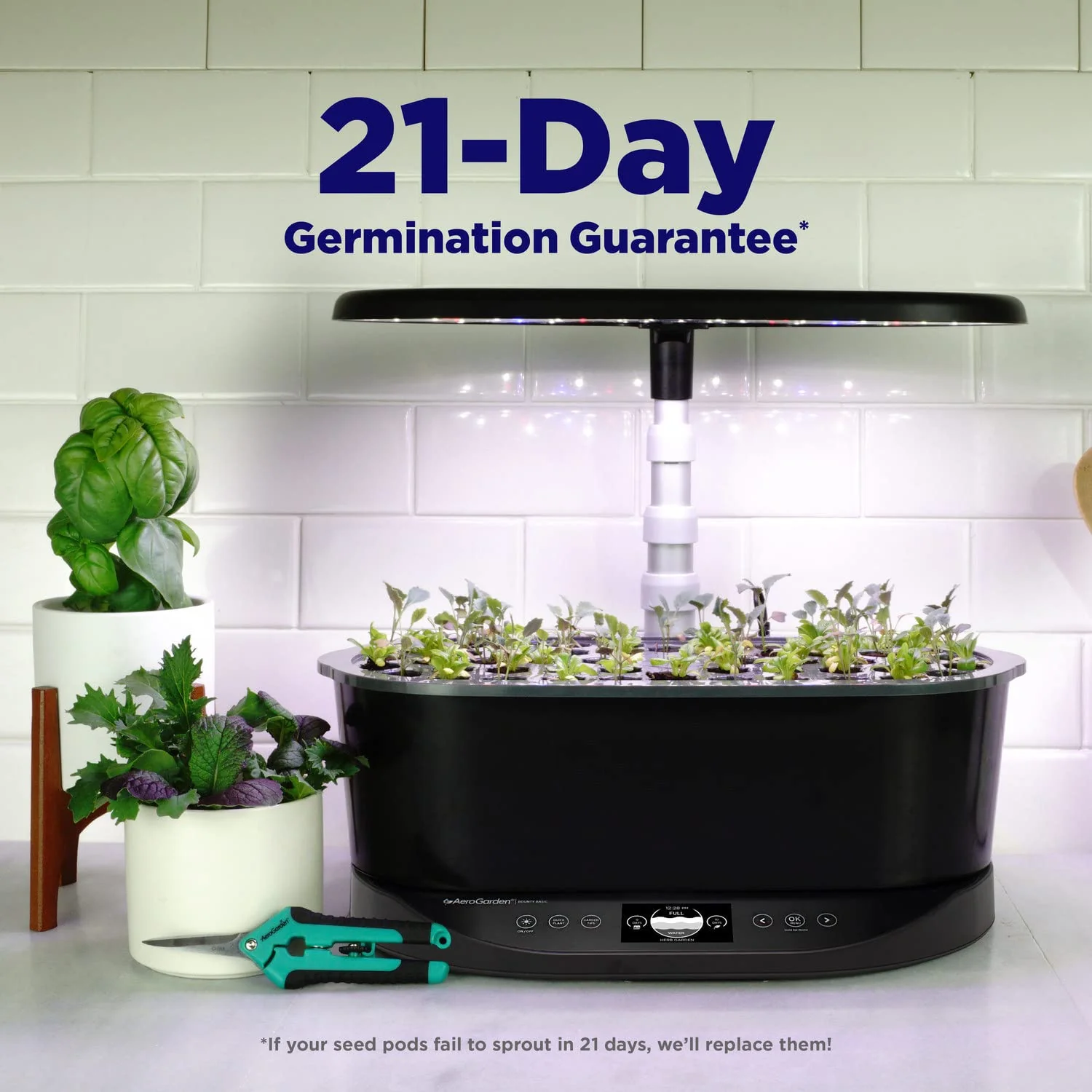 AeroGarden Bounty Basic. Indoor Garden with LED Grow Light
