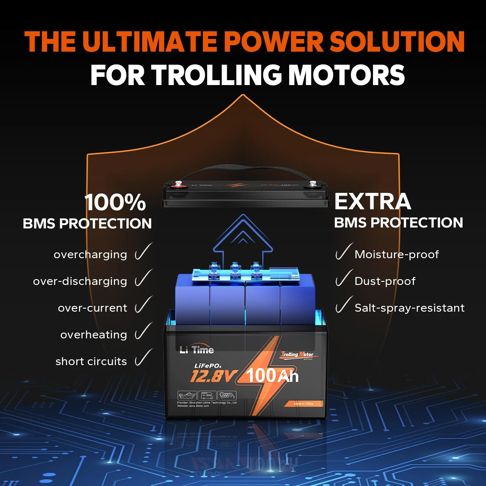 LiTime 12V 100Ah TM LiFePO4 Lithium Battery Built in 100A BMS