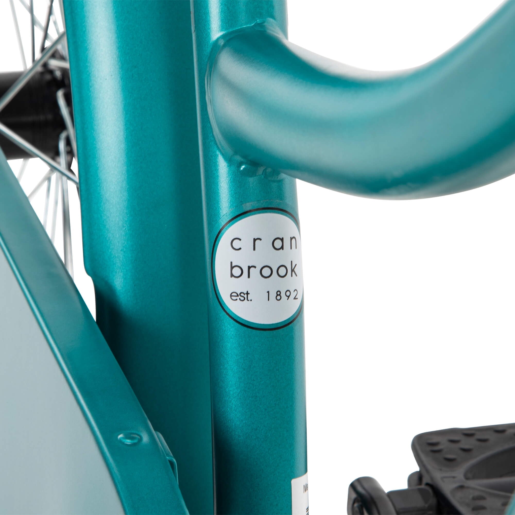 24¡± Cranbrook Girls Beach Cruiser Bike for Women. Emerald Green