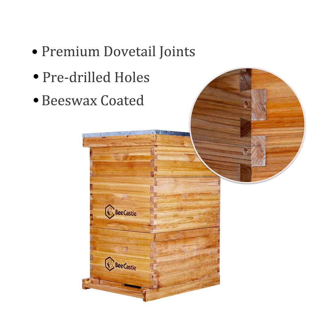 BeeCastle 10 Frame Langstroth Bee Hive Coated